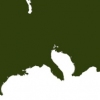 Simese States: Green
