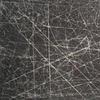 Silver Carbon