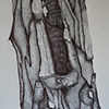 Weathered Bark