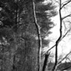 Entanglement
