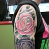 Pink And Purple Roses
