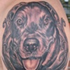 doggie