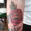 Red Rose