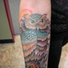 Owl