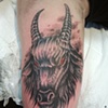 Bathory