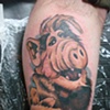 alf