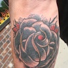 Dark Rose