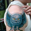 rush owl