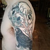 rook2