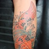Small Koi