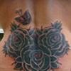 black roses
