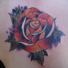 Orangey Rose