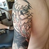 rook3