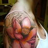 lotus