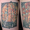 forest