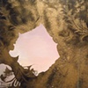 Failure of the Rococo Revival (detail)