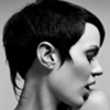 Hairdresser of the Year 2006
