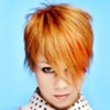 Loreal Color Trophy  2006