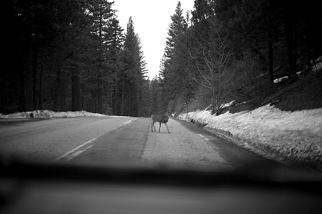 Yosemite