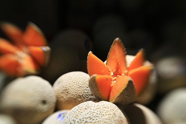 cantaloupe