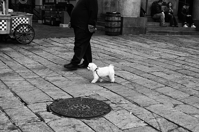 walking the dog