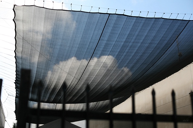Catch a Cloud