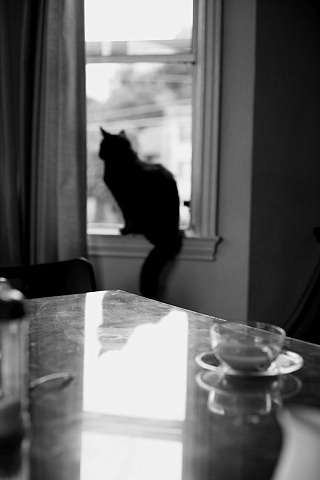 Morning