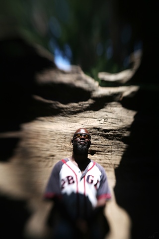 Sequoia