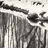 Snow, River, and Trees