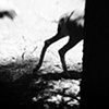 creatures