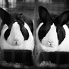 side by side