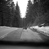 Yosemite