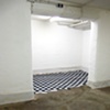 CARPET 2010