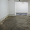 CARPET 2010