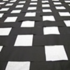 CARPET 2010