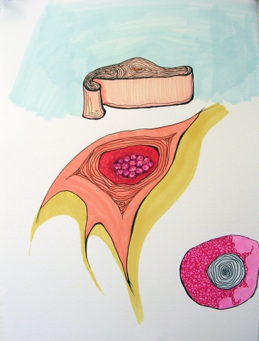 studio sketch