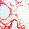 bone detail