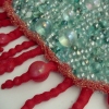 detail Membranes