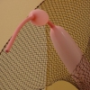 detail of True Skin is Highly Vascular and Sensitive