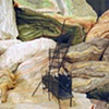 Images of new Cloth Sculptures