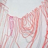 Whorl