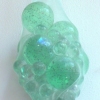 detail Glands and Soft Parts