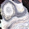 Purl