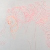 Whorl, detail right side