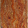 wood grain