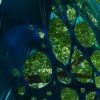 detail, Things Have to be Imagined to be Changed
