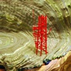 detail: Signaling Point (Red Tower)