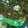 detail, Things Habve to Be Imagined to be Changed