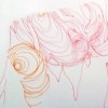 Whorl