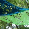 detail, Things Habve to Be Imagined to be Changed